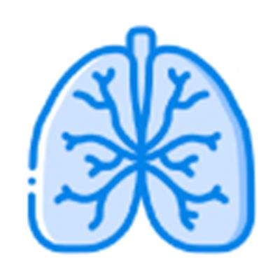 Respiratory medications and antihistamines