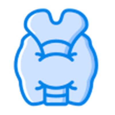 Endocrine system drugs